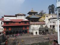 Pashupatinath Tempel