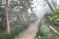 Machan Country Villa im Chitwan-Nationalpark