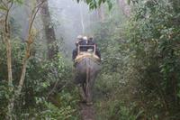 Elefantenritt im Chitwan-Nationalpark