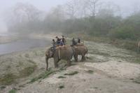 Elefantenritt im Chitwan-Nationalpark