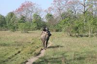 Elefantenritt im Chitwan-Nationalpark