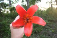 Chitwan-Nationalpark