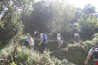 Auftsieg zur Friedenspagode