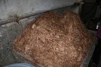 Papierfabrik in Thimphu