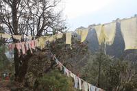 Wanderung auf dem Dochula Nature Trail