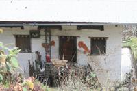 Auf dem Weg zum Verrückten Lama