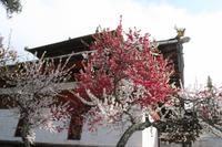 Kloster Kyichu Lhakhang