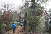 Wanderung auf dem Dochula Nature Trail