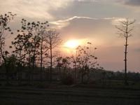 abendlicher Spaziergang durch ein Tharu-Dorf