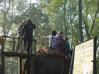 Elefantenausritt im Chitwan NP