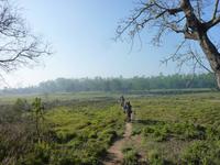 Elefantenausritt im Chitwan NP