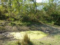 Wanderung im Chitwan NP