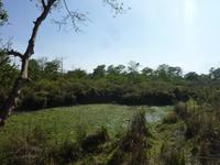 Wanderung im Chitwan NP