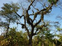 Wanderung im Chitwan NP