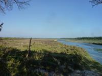 Wanderung im Chitwan NP