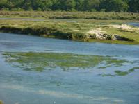 Wanderung im Chitwan NP