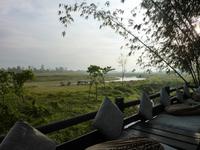 Sapana Lodge im Chitwan Nationalpark