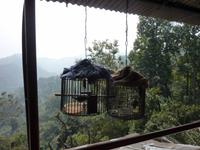 Rastplatz mit Ausblick