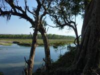 Wanderung im Chitwan NP
