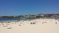 Sydney Bonti Beach