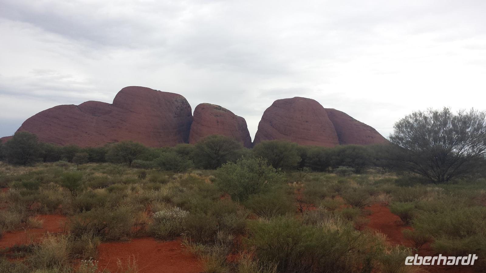 Besuch der Olgas in Australien