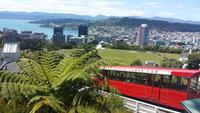 Wellington