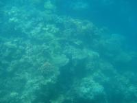 Great Barrier Reef Australien