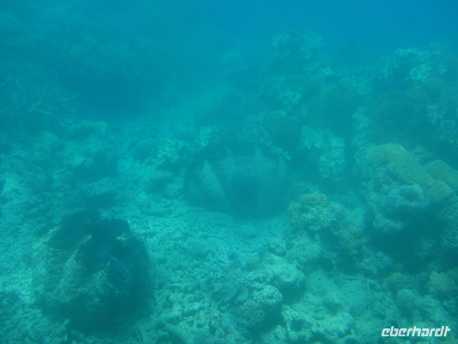 Great Barrier Reef Australien