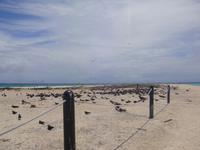 Great Barrier Reef Australien
