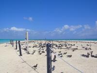Great Barrier Reef Australien