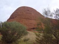 Besuch der Olgas in Australien