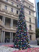 Weihnachten in Sydney