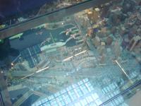 Sydney unter unseren Füßen