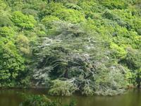 Zealandia-Neuseeland