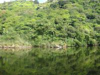 Zealandia-Neuseeland