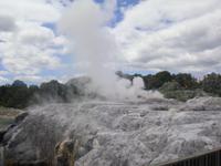 Te Puia Nationalpark - Neuseeland