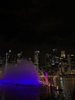 Wasserspiel Singapur