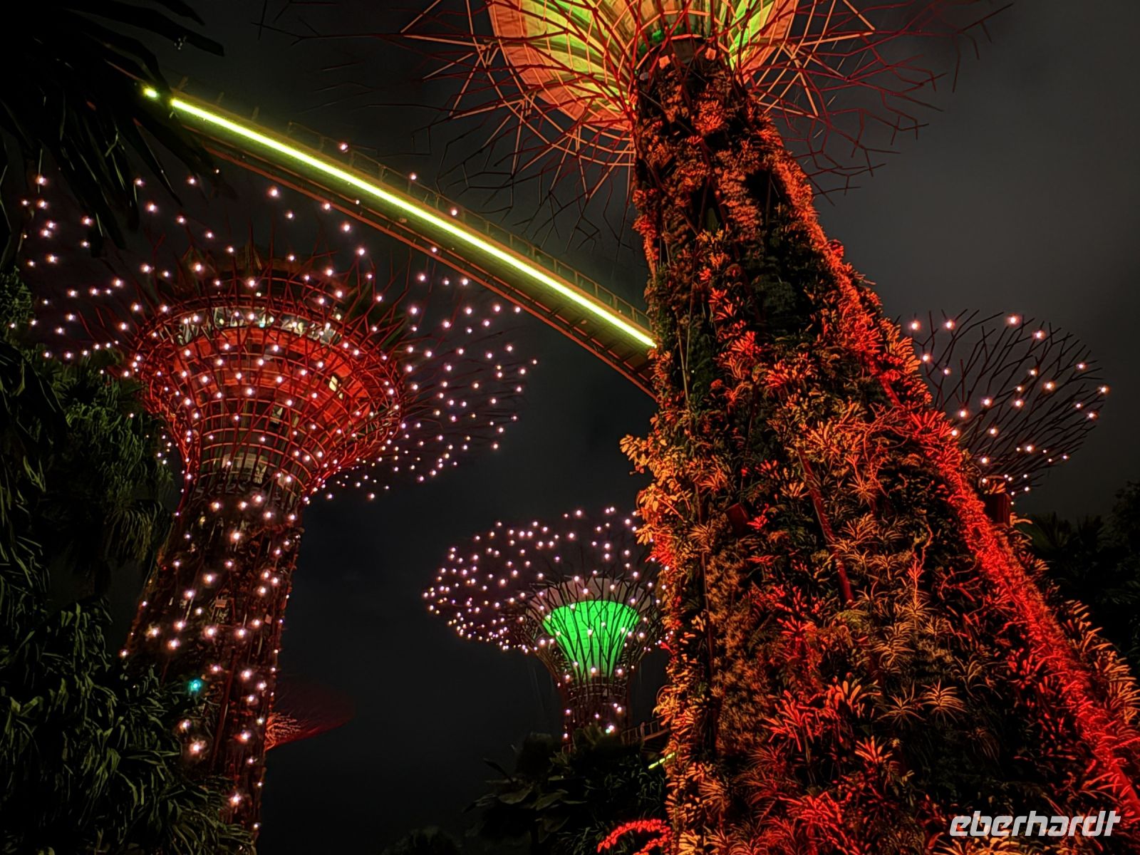 Gardens by the Bay Singapur