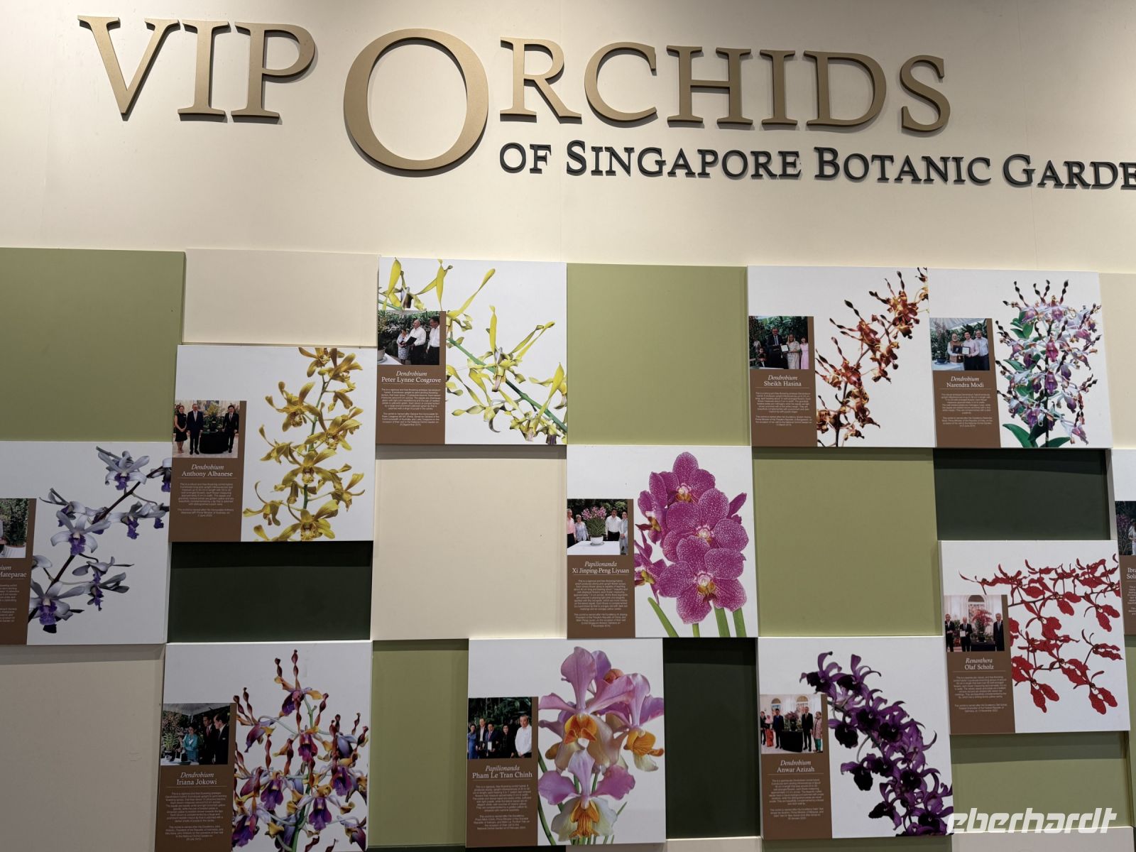 Orchideengarten Singapur