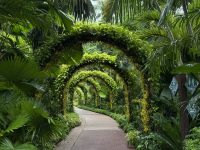 Orchideengarten Singapur