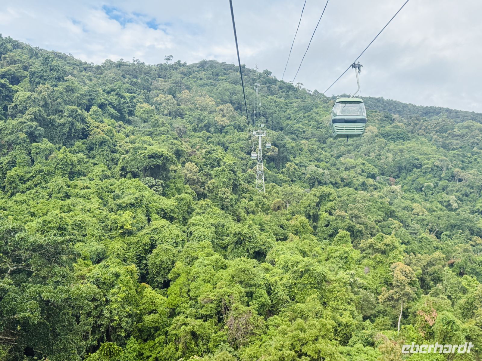 Kuranda Skyrail und Regenwald