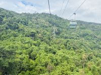 Kuranda Skyrail und Regenwald