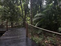 Regenwald Kuranda