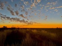 Sonnenaufgang am Uluru