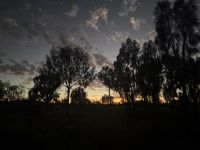 Sonnenaufgang am Uluru