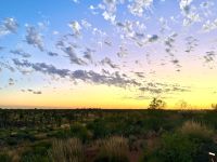 Sonnenaufgang am Uluru