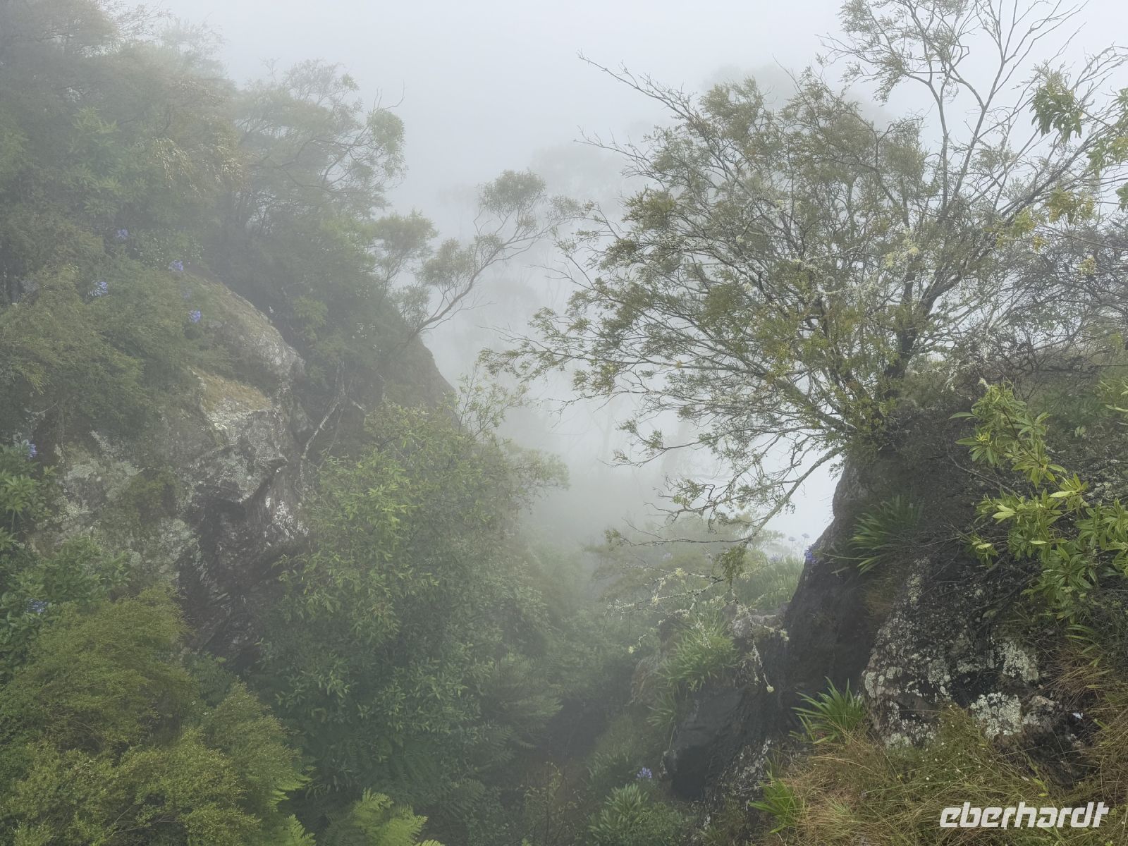 Blue Mountains Nationalpark/ Three Sisters