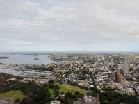 Aussicht auf Sydney vom Sydney Tower