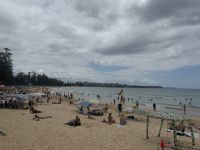 Manly Beach