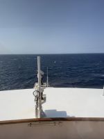 Auf den Weg nach Tasmanien